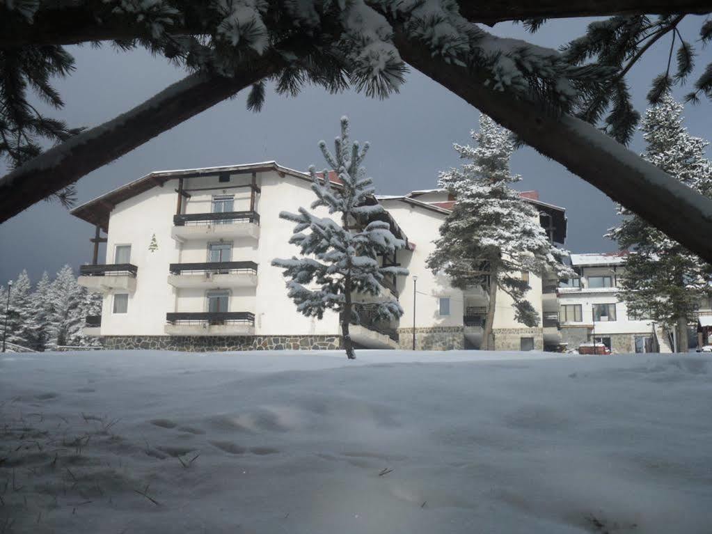 Bor Hotel Belitsa  Εξωτερικό φωτογραφία