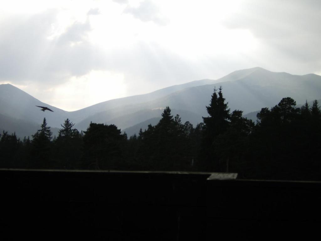 Bor Hotel Belitsa  Δωμάτιο φωτογραφία